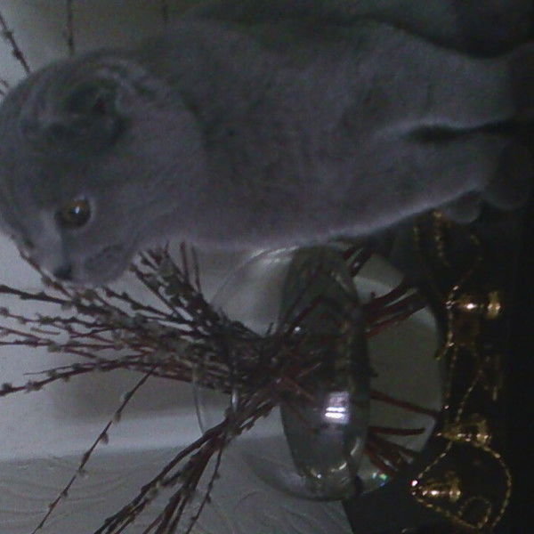 Наталия Ррр