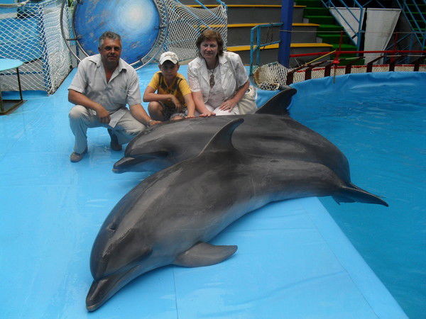 Наташа Меркулова