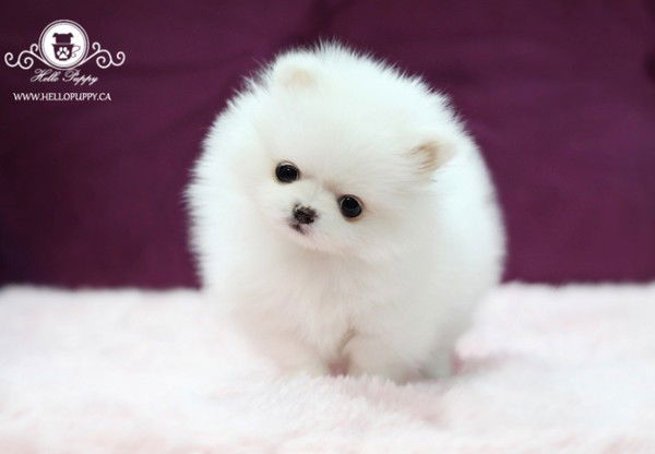 Людмила Федько