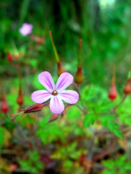 Гузель Загрутдинова
