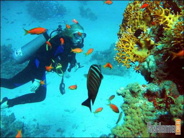 Вячеслав Соловьев