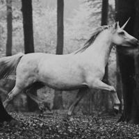 Диана Зубель