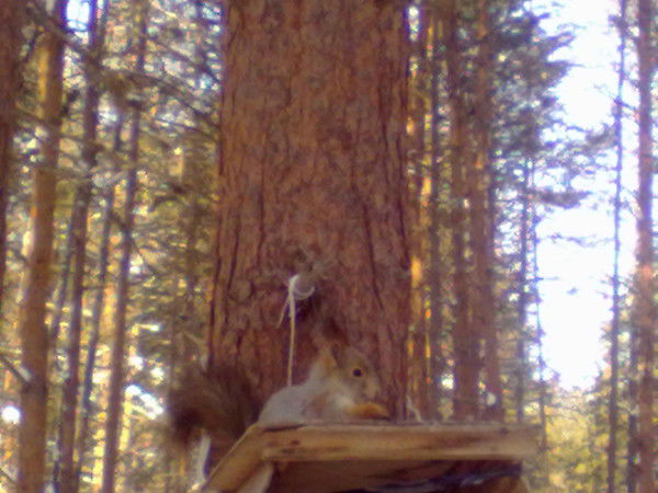 Валя Семенова