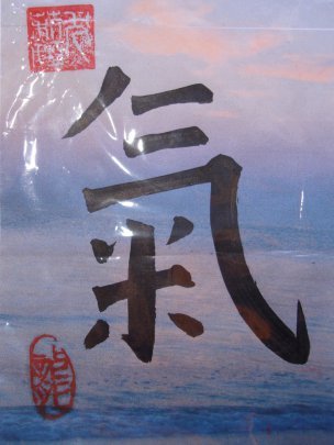 Ооо " Рост " Чернышенко С.и.