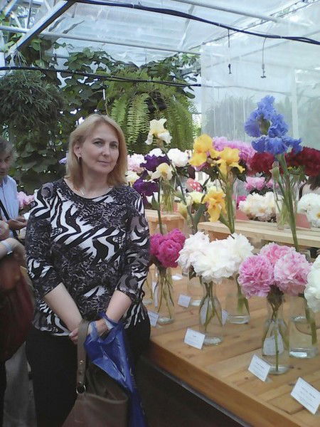 Елена Свиридова