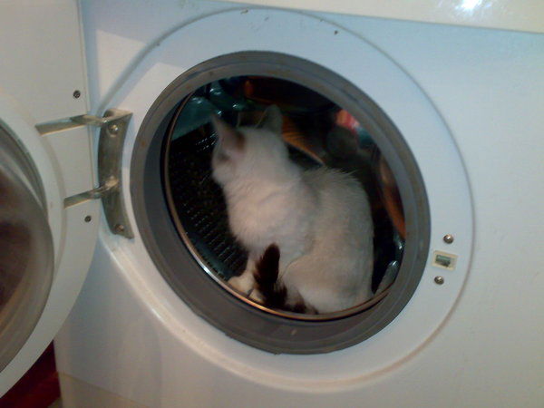 Неизвестно Неизвестно