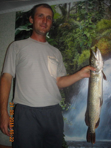 Костя Горовой