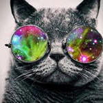 Катя Инкогнито