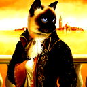 Aristocrat .