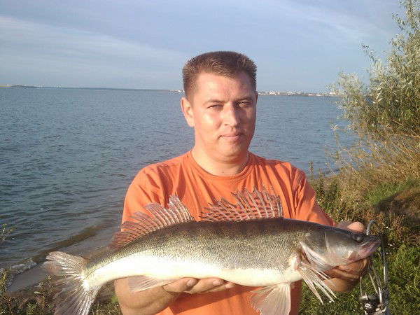 Дмитрий Есин