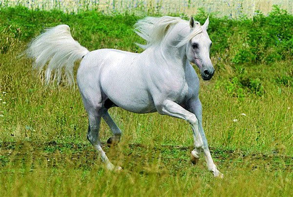 Елукуль Есмурзина