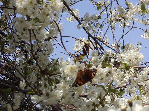 Надежда Бондаренко