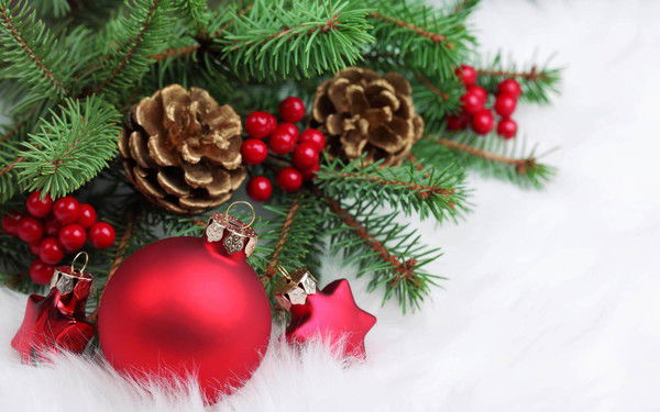 Gulchehra Sobirjanova