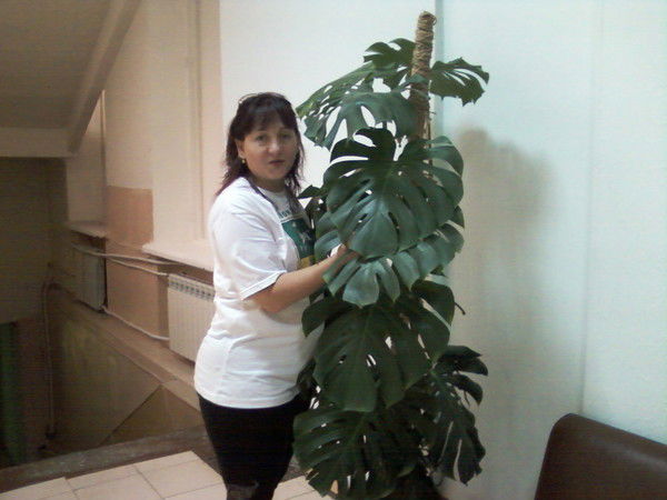 Наталья Хохрякова