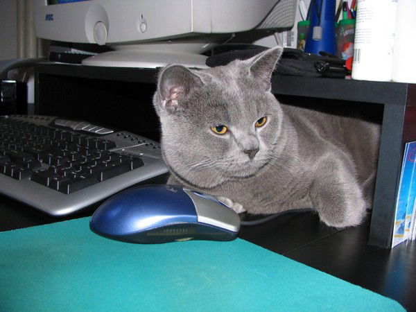 Зухра Рахметова