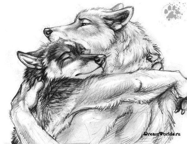 Владимир Колосков