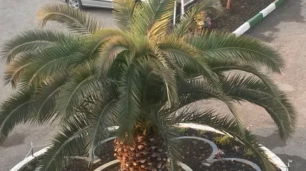 Сабур Нозимов