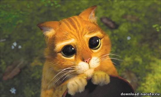 Илья Походяев