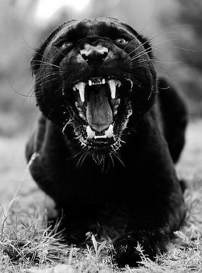 Денис Александрович