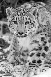 Мила Андриянова