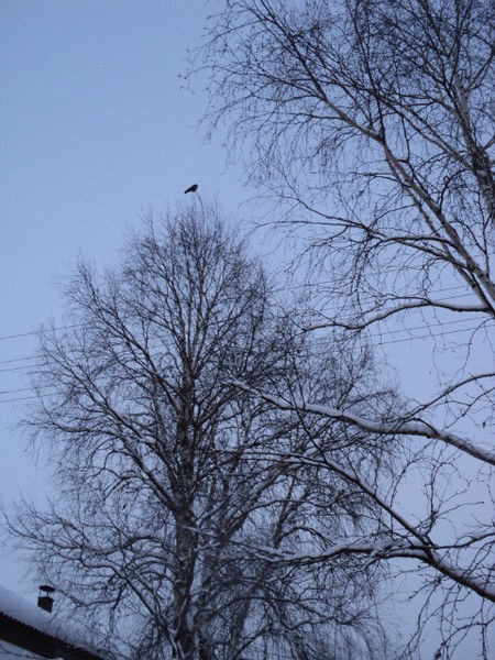 Люба Иванова