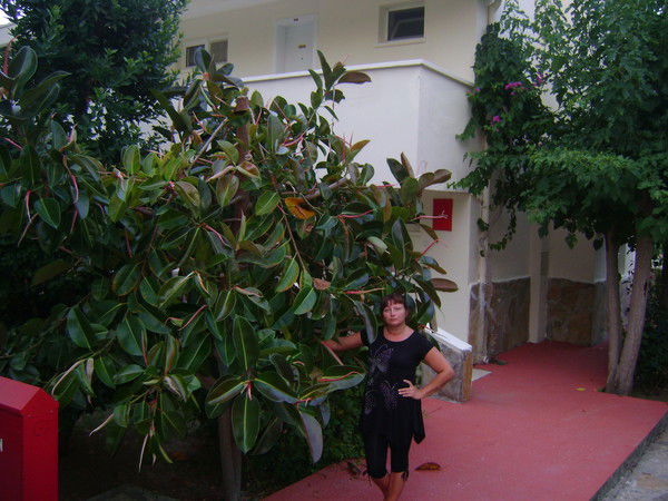 Татьяна Сас