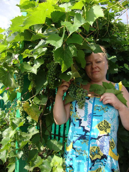 Анжелика Клишина