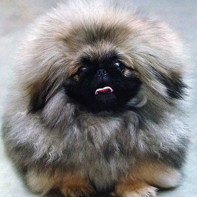 Стас Артёмов