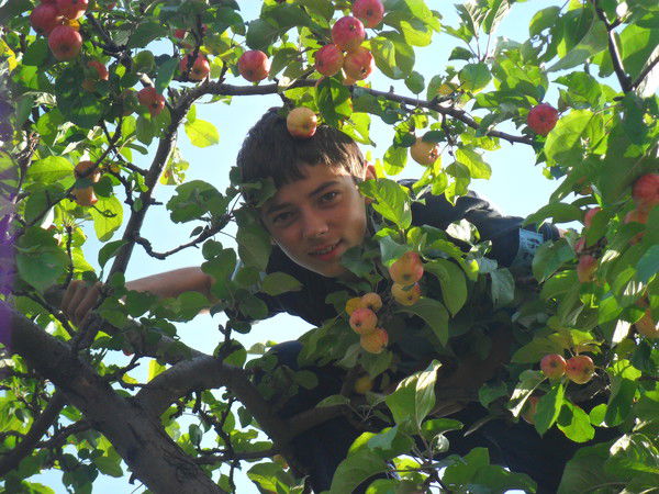 Алексей Красков