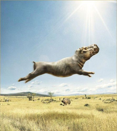 Ольга Беспалова