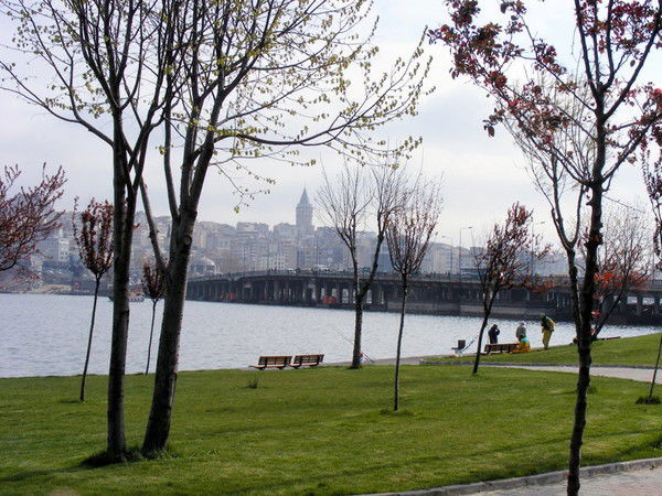 Lyudmila Polikarpova