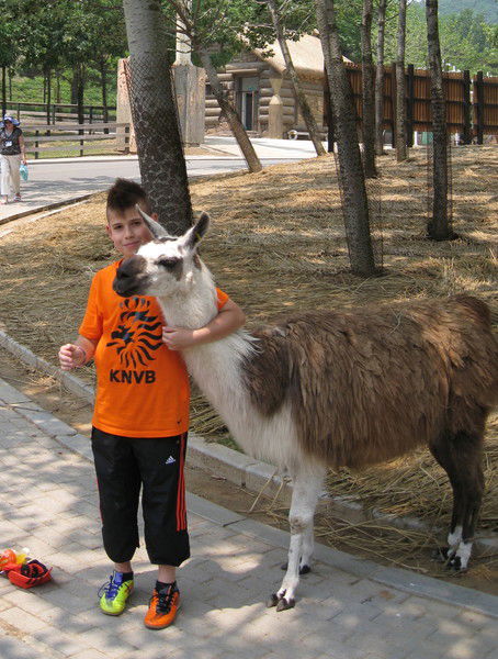 Егор Абрамов