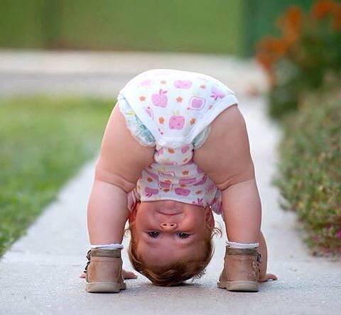 Елена Елена