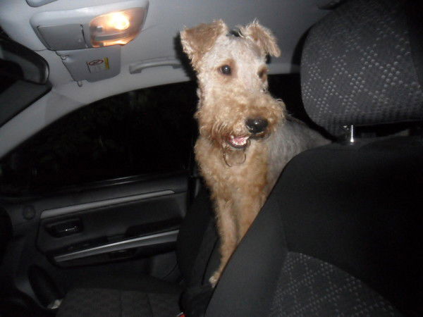 Оксана Скобелева/лишик