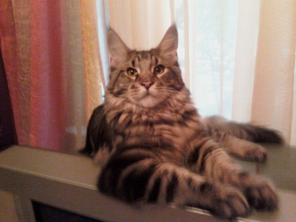 Наталья Бирюкова