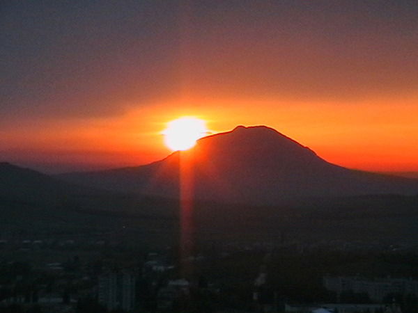 Светлана Пушкарева