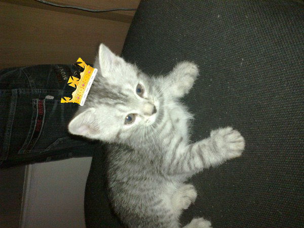 Вася Пупкин