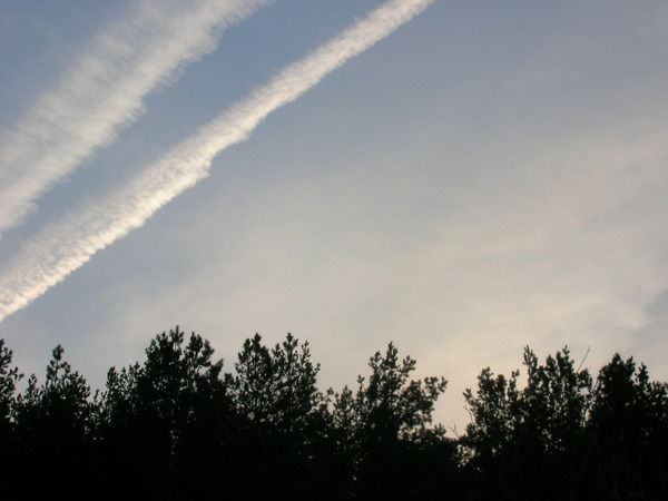 Дмитрий Лопанов