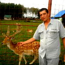 Михаил Стома