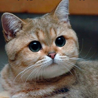 Данил Андреев