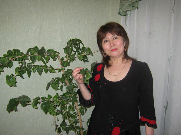 Гульмира Кенжебаева