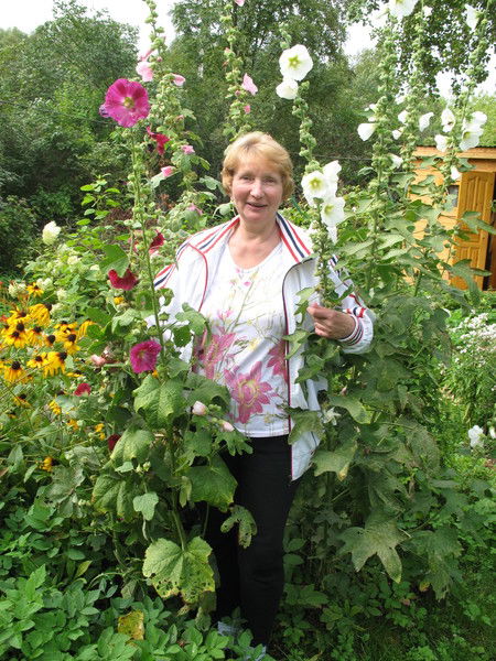 Никифорова Наталья