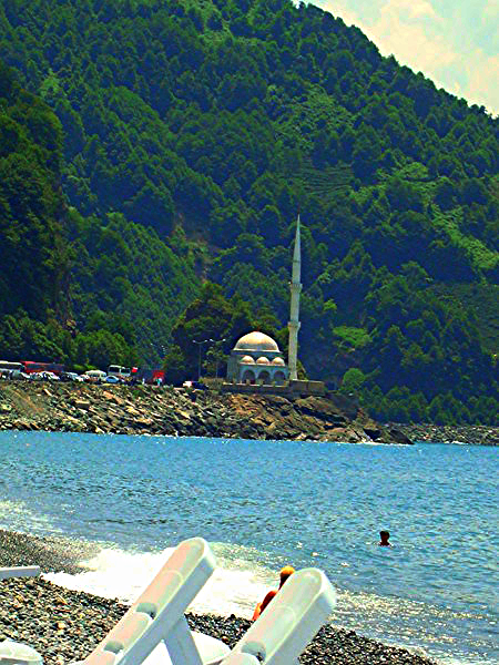 Марина Ганиш