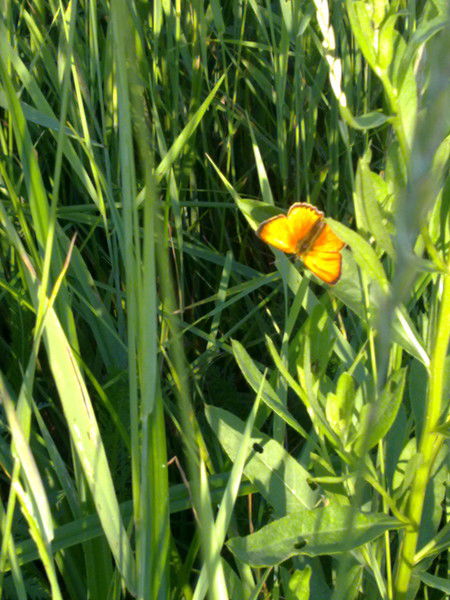 Татьяна Парамонова