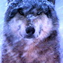 Yuri Muvart
