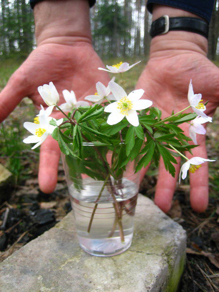 Игорь Игорев