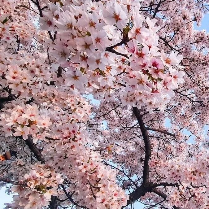 Любовь Торопина