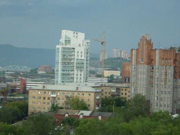 Димарик Белый