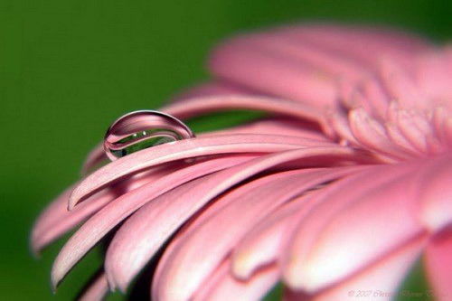 Неизвестно Неизвестно