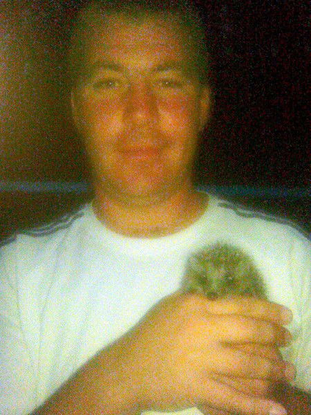 Алексей Грушевский